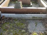 image of grave number 238127
